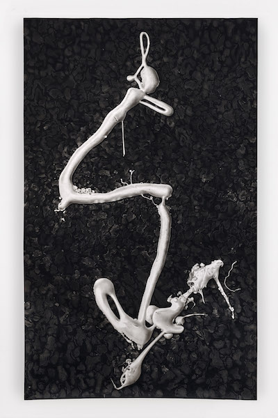 Peter Hock: Lightning, 2020, Kohle auf Papier, 320 x 196 cm

